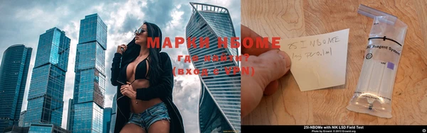 скорость Тайга