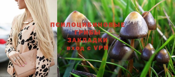 кокаин премиум Магас