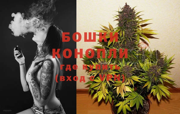 скорость Тайга