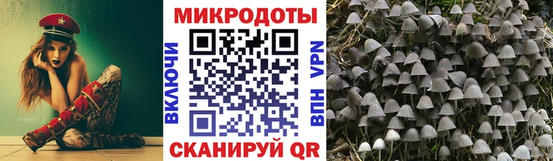 Галлюциногенные грибы ЛСД  Дзержинский 