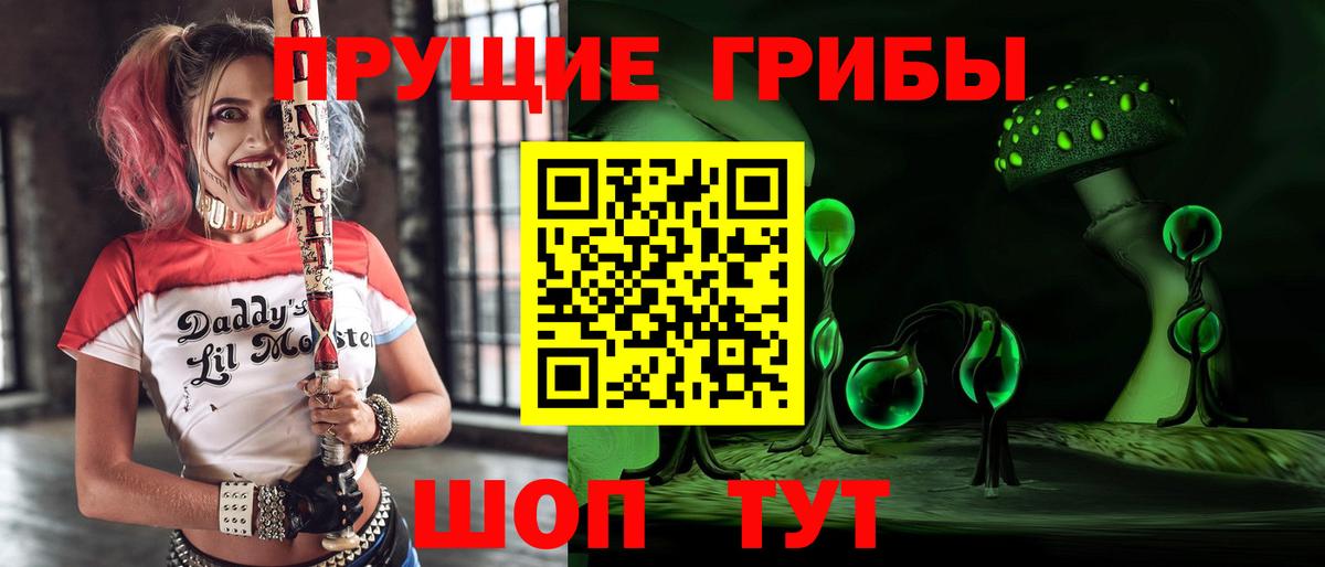 Псилоцибиновые грибы Cubensis  Дзержинский  Псилоцибиновые грибы Cubensis 